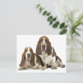 Carte Postale Chiens (Debout devant)