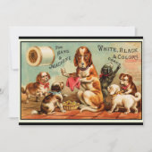 Carte postale Chiens à coudre (Devant)