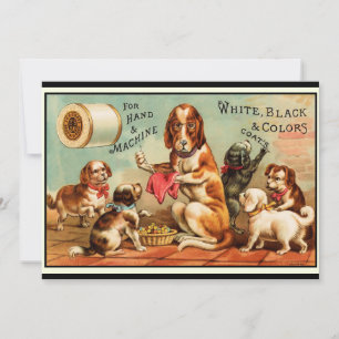 Carte postale Chiens à coudre