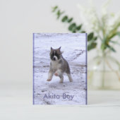 Carte Postale Chiens adoptés (Debout devant)
