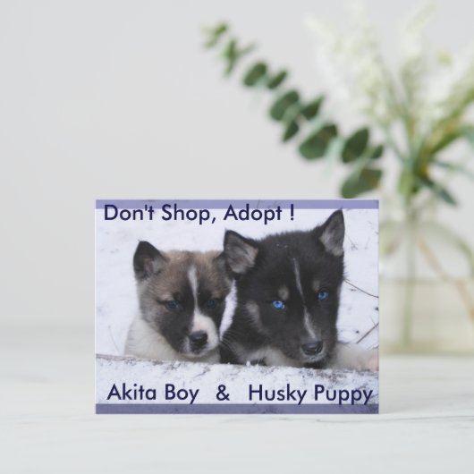 Carte Postale Chiens adoptés (Debout devant)