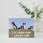 Carte Postale Chiens adorables (Debout devant)