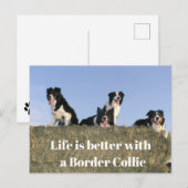Carte Postale Chiens adorables (Devant / Derrière)