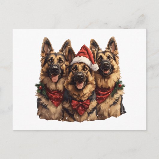 Carte Postale Chiens bergers allemands de Noël (Devant)