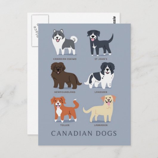 Carte Postale Chiens canadiens (Devant / Derrière)
