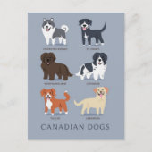 Carte Postale Chiens canadiens (Devant)