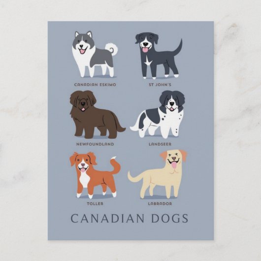 Carte Postale Chiens canadiens (Devant)