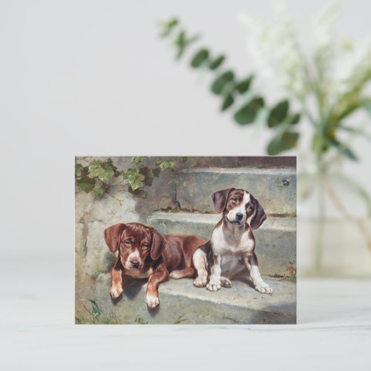 Carte Postale Chiens Chiots Vintage Ancien (Debout devant)