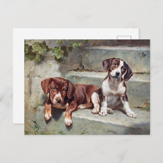 Carte Postale Chiens Chiots Vintage Ancien (Devant / Derrière)