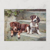 Carte Postale Chiens Chiots Vintage Ancien (Devant)