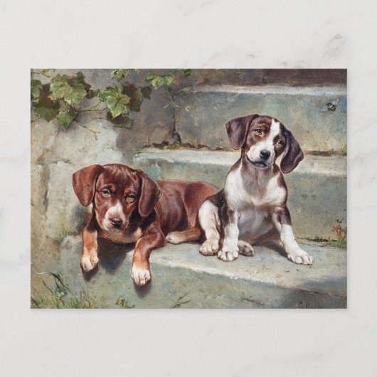 Carte Postale Chiens Chiots Vintage Ancien (Devant)