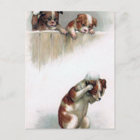 "Chiens cru jouant boules de neige"