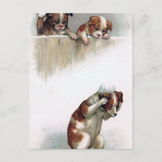 Carte Postale "Chiens cru jouant boules de neige"