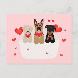 Carte Postale Chiens Dans L'Amour Enveloppe