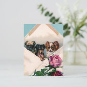 Carte Postale Chiens dans une enveloppe (Debout devant)