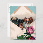 Carte Postale Chiens dans une enveloppe (Devant / Derrière)