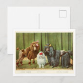 Carte postale Chiens de caniche (Devant / Derrière)