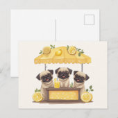 Carte Postale Chiens de carlin Stand de Lemonade (Devant / Derrière)