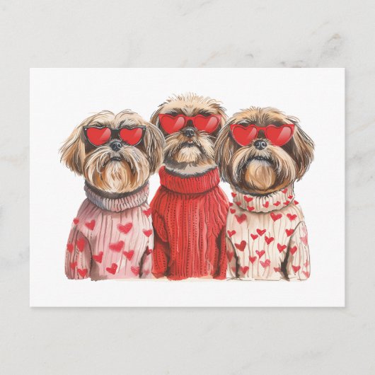Carte Postale Chiens de Chih Tzu de la fête de Valentines (Devant)