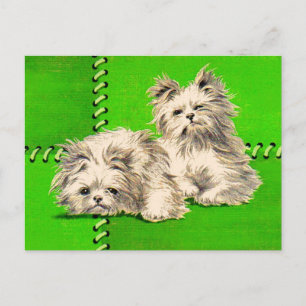 Carte Postale chiens de couverture mignons