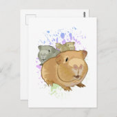 Carte Postale Chiens de Guinée (Devant / Derrière)