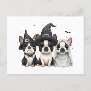 Carte Postale Chiens de Halloween Boston Terrier
