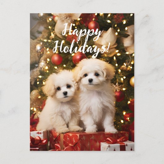 Carte Postale Chiens de marionnettes adorables Joyeuses fêtes No (Devant)