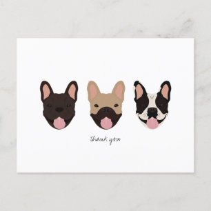 Carte Postale Chiens de Merci