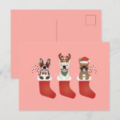 Carte Postale Chiens de Noël Français (Devant / Derrière)