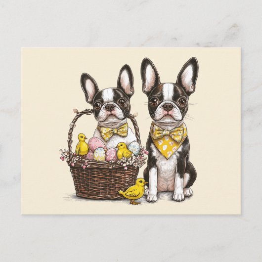 Carte Postale Chiens de Pâques Boston Terrier (Devant)