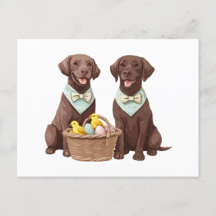 Carte Postale Chiens de récupération du labrador de pâques