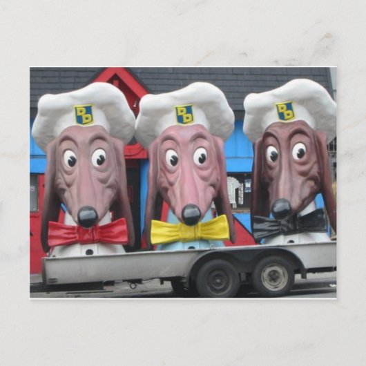 Carte Postale Chiens de table (Devant)