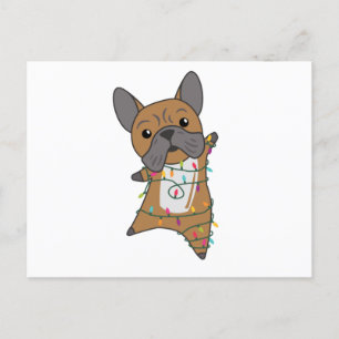 Carte Postale Chiens de taureau Joyeux animaux d'hiver de Noël