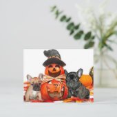 Carte Postale Chiens de taureaux français d'Halloween (Debout devant)
