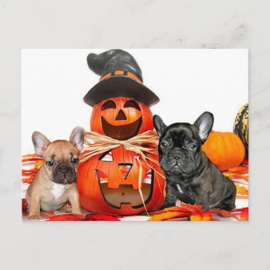 Carte Postale Chiens de taureaux français d'Halloween (Devant)