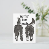 Carte Postale Chiens de Terre-Neuve (Debout devant)