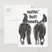 Carte Postale Chiens de Terre-Neuve (Devant / Derrière)