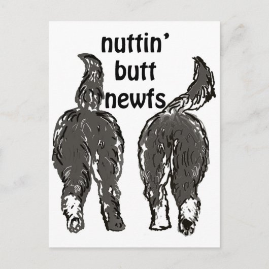 Carte Postale Chiens de Terre-Neuve (Devant)