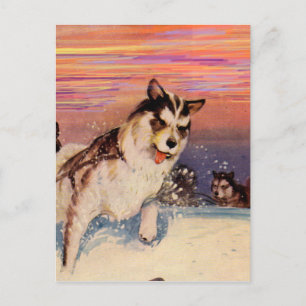 Carte Postale Chiens de traîneau husky sibériens des années 1940