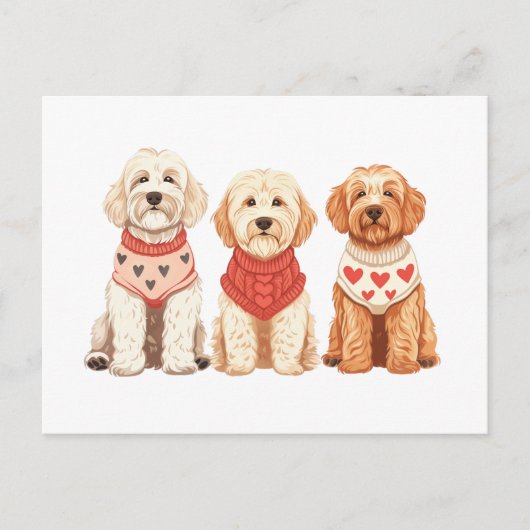 Carte Postale Chiens de Valentine Goldendoodle (Devant)