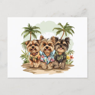 Carte Postale Chiens de Yorkshire Terrier Chemises hawaïennes