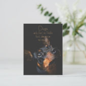 Carte Postale Chiens Demandent Si Peu / Doberman Pinscher (Debout devant)