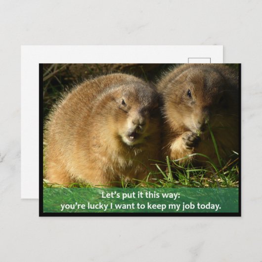 Carte postale: Chiens des Prairies (Devant / Derrière)