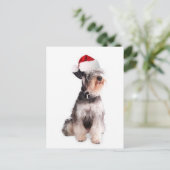 Carte Postale Chiens Ditzy~Carte Postale Originale~Schnauzer Min (Debout devant)
