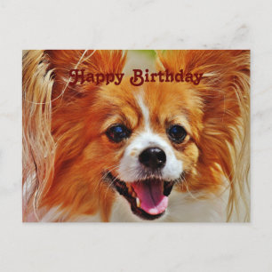 Carte Postale Chiens drôles Joyeux Anniversaire