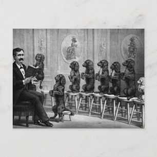 Carte Postale Chiens Éduqués