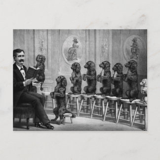 Carte Postale Chiens Éduqués