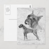 Carte Postale Chiens en boîte (Devant / Derrière)