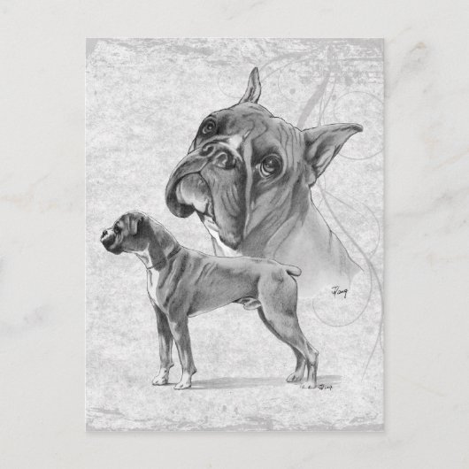 Carte Postale Chiens en boîte (Devant)