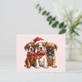 Carte Postale Chiens en boîte de Noël (Debout devant)